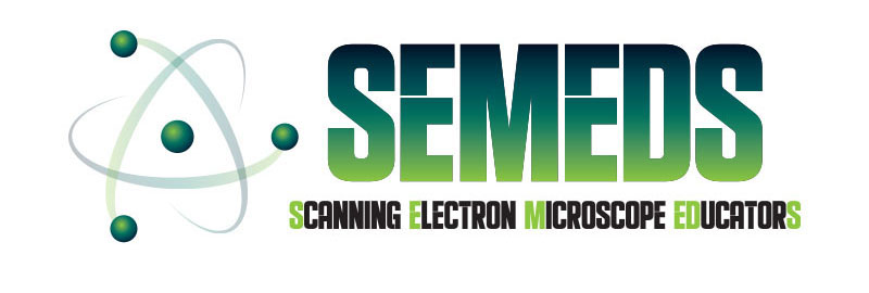 SEMEDS logo