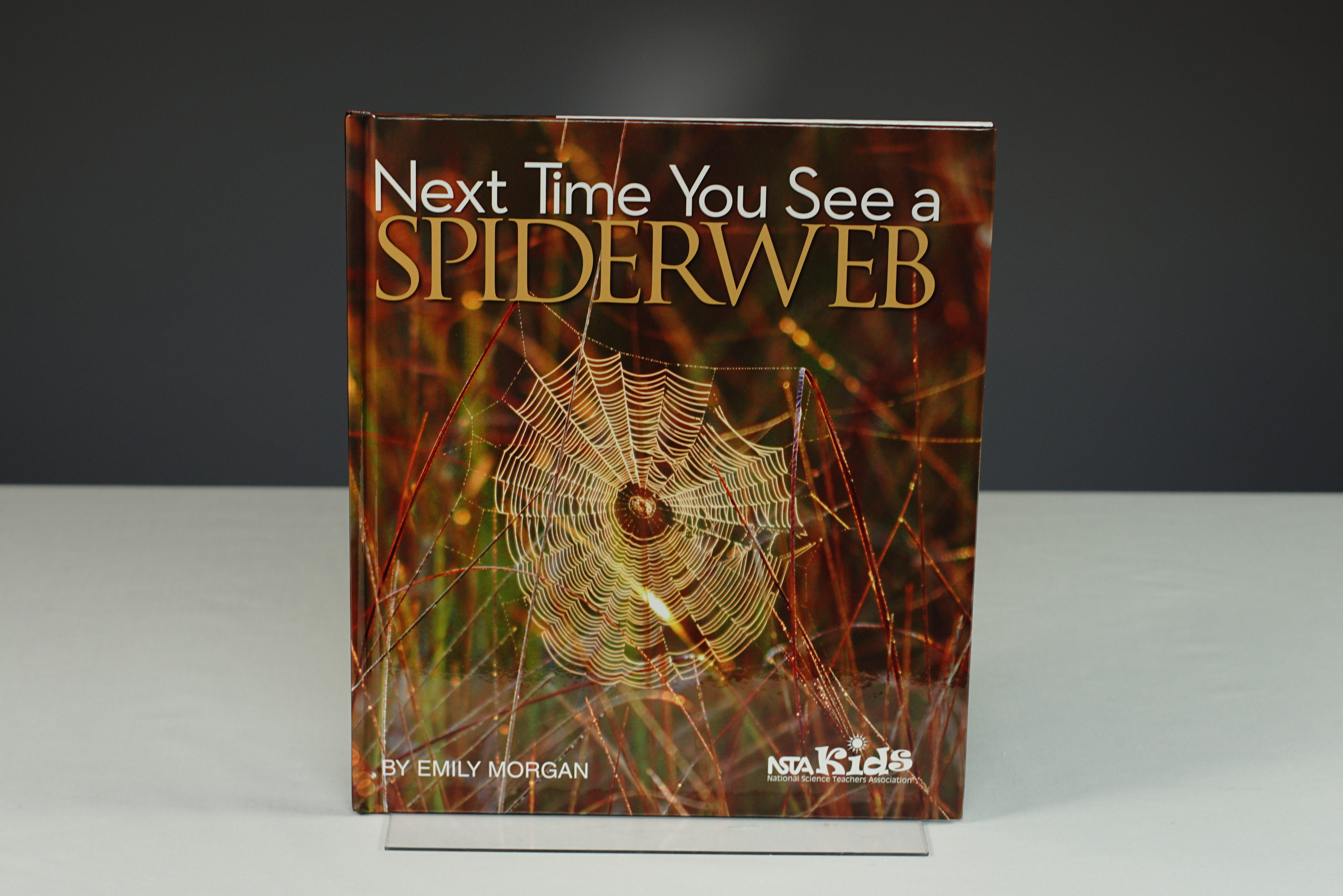 Next Time You See a Spider Web Book