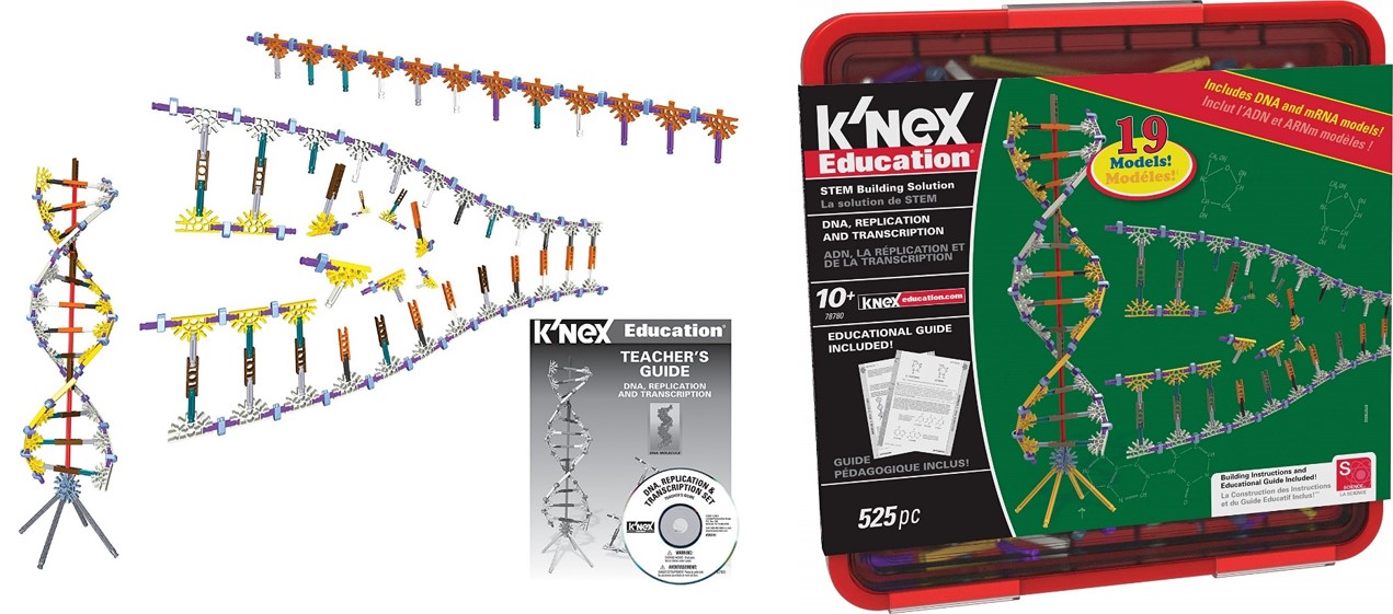 K'nex DNA