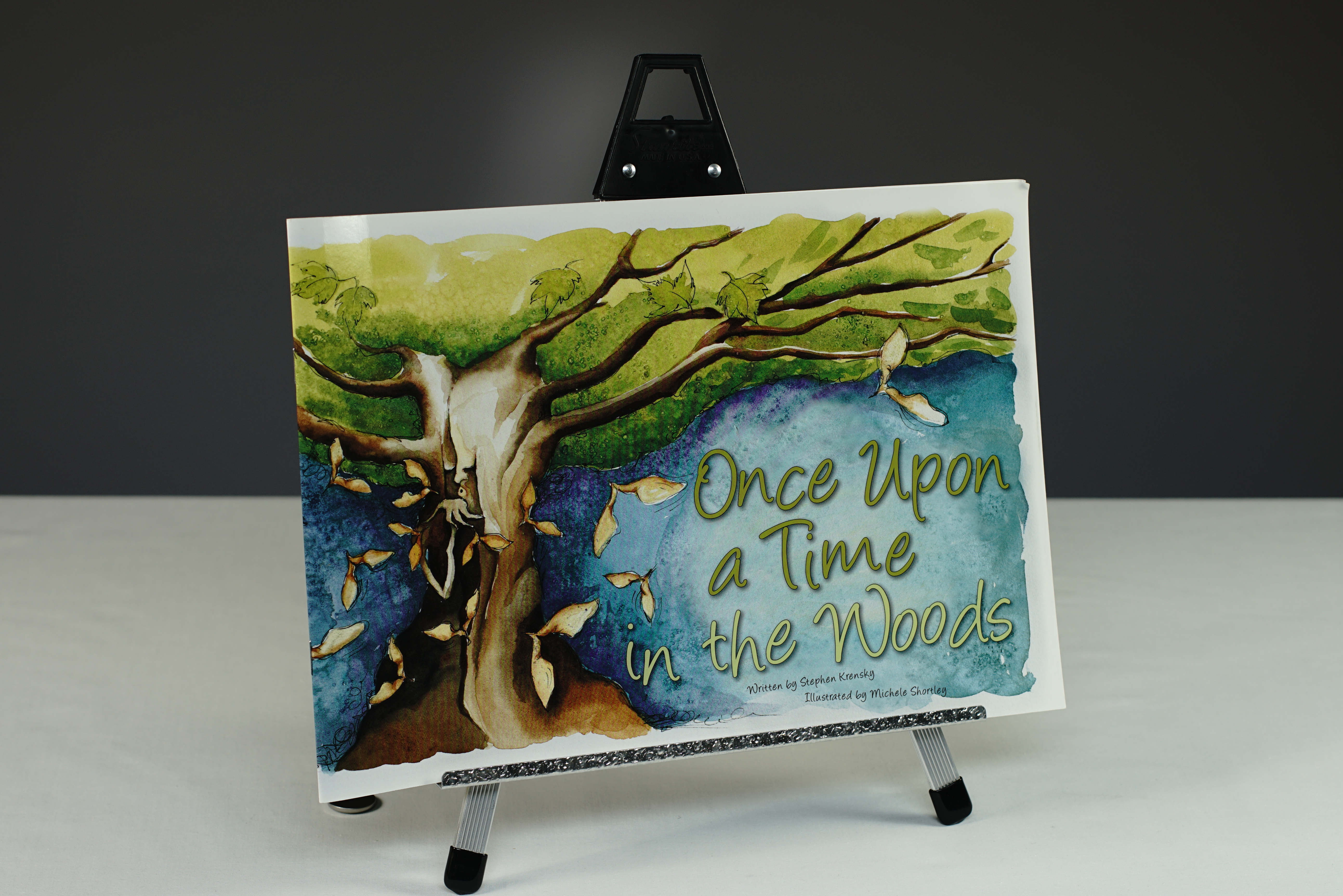 Once Upon a Time in the Woods Book