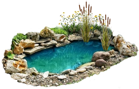 POND